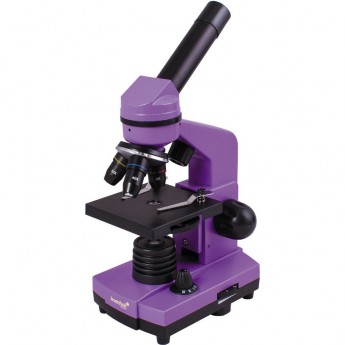 Микроскоп LEVENHUK Rainbow 2L Amethyst\Аметист Микроскоп LEVENHUK Rainbow 2L Amethyst\Аметист